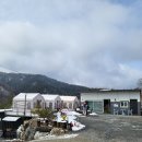 디데이펜션&캠핑 이미지