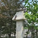 노림초등학교 이미지