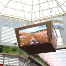 새마을식육점 이미지