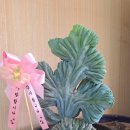 새재진곰탕 이미지