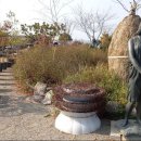 당진야생화