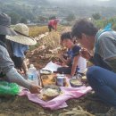 새참손칼국수 이미지