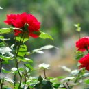 고은햇살 이미지