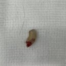 부산종합동물병원 이미지