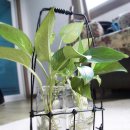 모두세탁소 이미지