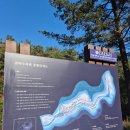 경기도 안양 단풍 명소 추천 서울대학교 관악수목원 개방 후기