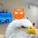 해수욕장펜션 | 태안 숙소 비비오네 펜션 리뷰 | 청포대 해수욕장 앞 펜션 간단 후기