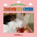 견생냥품 무인24시 부평갈산점 이미지