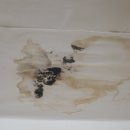 서진기획 | 영화 침입자 성장 풍선 낭떠러지 결말 해석