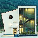 부산경상대학교 반려견유치원 이미지