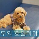 더조은 동물의료센터 이미지