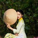 동 행정사 사무소 이미지