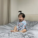 파티세리러츠 이미지