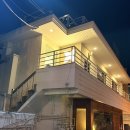 개나리 | [내돈내산] 개나리위스키 방문 후기 | 안주가 6천원 이라니!!