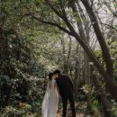 5721 | 제주 웨딩스냅+식전영상 [행아웃] hangout studio 후기👰🤍🤵 (제주부케 핱트플라워)