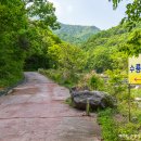 수룡폭포길 네이버블로그