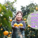 폴개네제주드림캠프 이미지