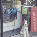 베리떼 동물병원 이미지