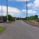 오조리-7 이미지