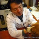 문종합동물병원 이미지