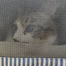 울산강일웅고양이메디컬센터