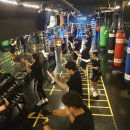 위너복싱클럽 이미지