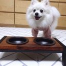 텐이어플러스