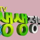 비토어촌계 이미지