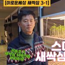 스마트팜 새싹삼 재배 방법, 30평 4층 새싹쌈 투자비용은? 귀농초기 새싹삼 500만원 버린이유는? [이로운세상새싹쌈 3-1] 윤선박 이미지