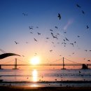 스카이31공인중개사사무소 이미지