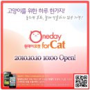 포캣 이미지
