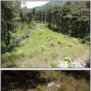 한림정가든 이미지