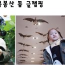 용봉산글램핑 이미지