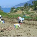 신수시장 이미지