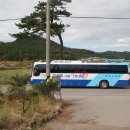 삼오관광 이미지