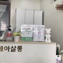 더레아살롱