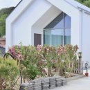 테라머뭄 이미지