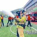 청도고요 이미지