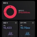 사나사(중간,약수터 앞) | 수리산 등산 후기 (수리약수터-관모봉-태을봉-슬기봉-군포중앙도서관)