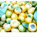 정경농장 이미지