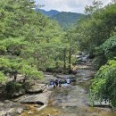 용추폭포가든민박 | [경북, 문경] 대야산 청주가든 문경폭포 백숙 맛집 평상 대여 내돈내산 솔직후기