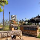 화성 애견동반 여행지 매향리 평화생태공원 후기 (주차·산책코스·주의사항 총정리) with 미요