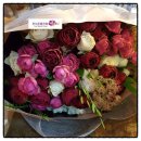 고은미즈의원 이미지