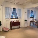 펫디자이너 시나 이미지