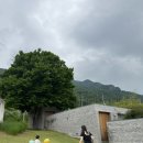 호시담 | 광주 근교 담양 여행 숙소 아기랑 호시담 S202 자쿠지 조식 후기