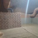 현대한증막 이미지