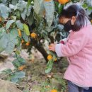 삼칠농장 이미지