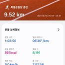 마산종합운동장 조깅트렉 | 베가베리 훈련 프로그램 동아마라톤 준비 목동 종합운동장 서킷 트레이닝 후기