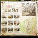 해피 닥터 피트니스 | [벚꽃 호캉스] 성남 벚꽃9경 운중천🌸, 코트야드 바이 메리어트 서울 판교, 맛집 닥터로빈