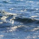 순환로3 이미지